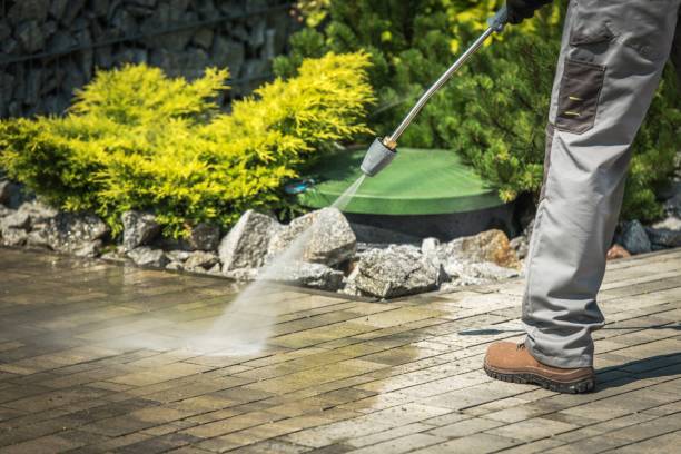 Best Spring Cleaning  in Norwood, NY